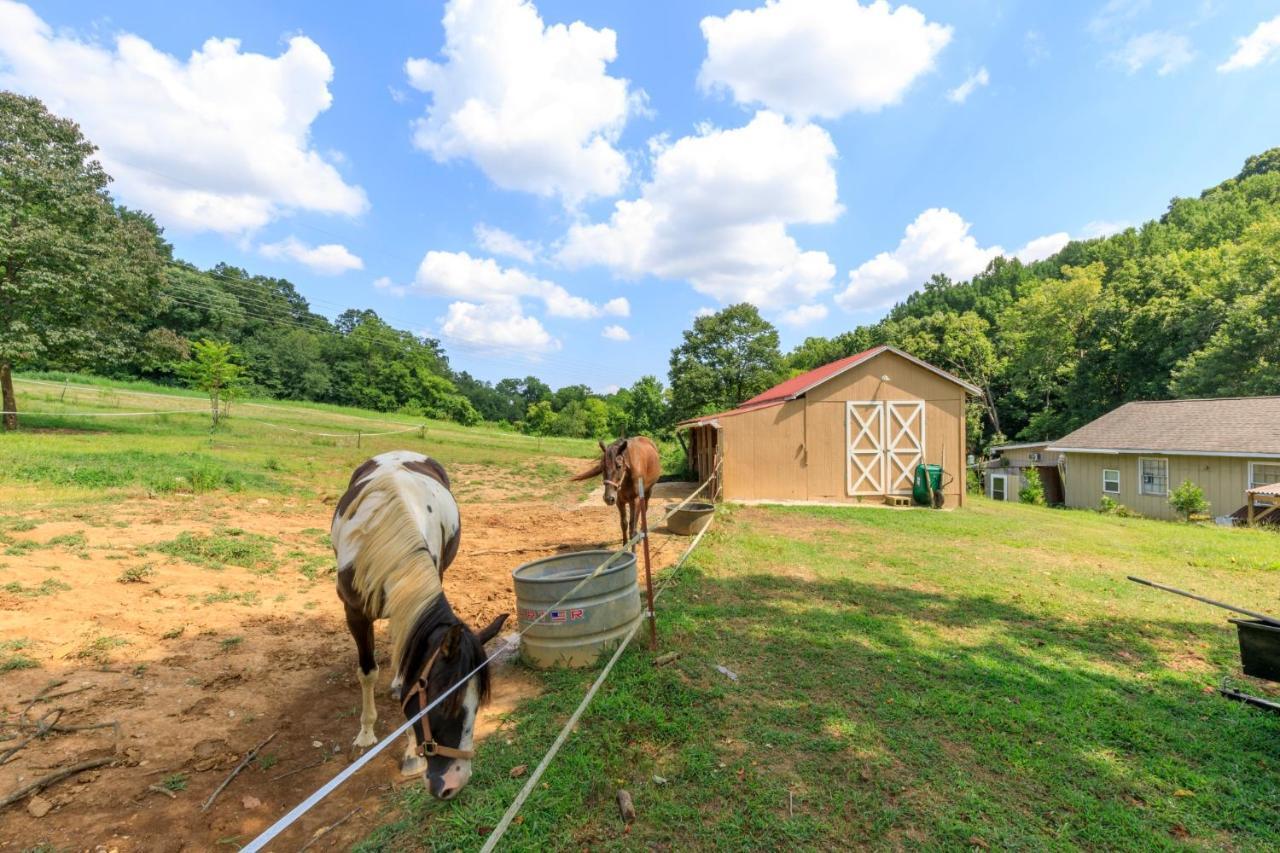 4 Bedroom Country Getaway ナッシュビル エクステリア 写真
